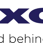 Dixon Technologies Share Price
