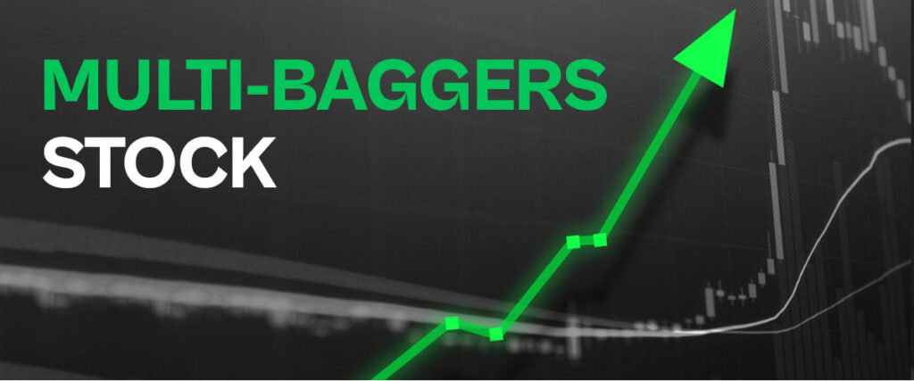 How to Identify Multibagger Stocks Before Everyone Else