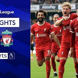 Liverpool vs. Wolverhampton Wanderers: Premier League Match